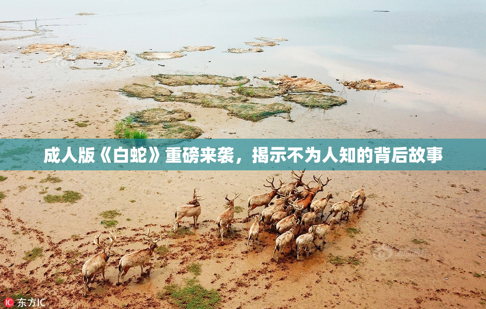 成人版《白蛇》重磅来袭，揭示不为人知的背后故事
