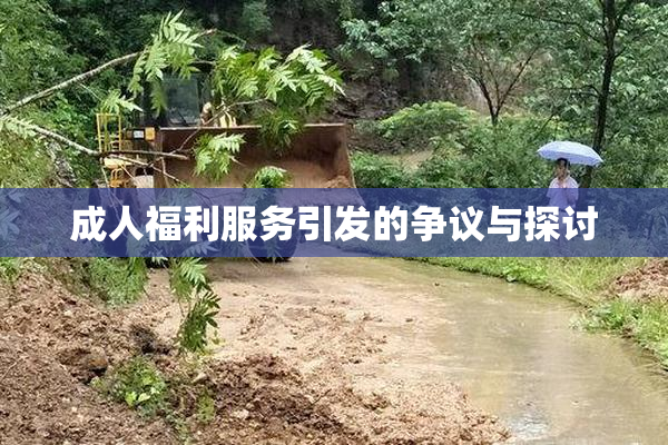 成人福利服务引发的争议与探讨