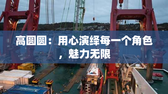 高圆圆：用心演绎每一个角色，魅力无限