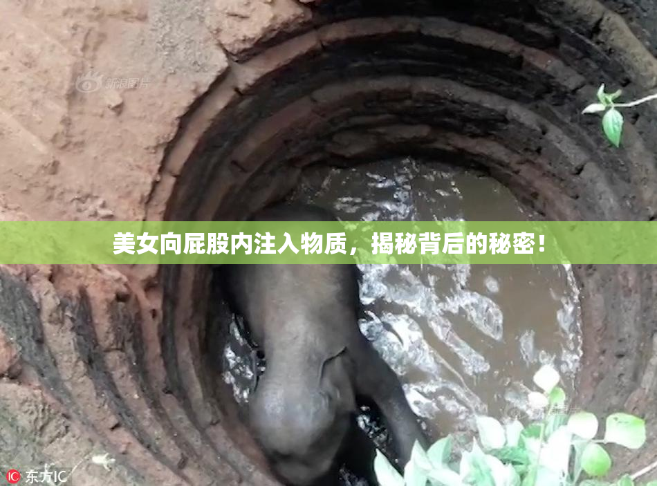 美女向屁股内注入物质，揭秘背后的秘密！