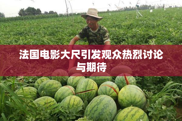 法国电影大尺引发观众热烈讨论与期待