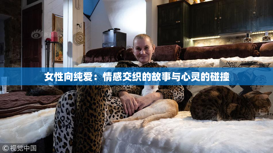 女性向纯爱：情感交织的故事与心灵的碰撞