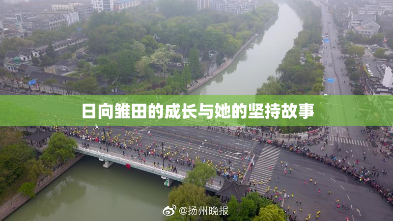 日向雏田的成长与她的坚持故事