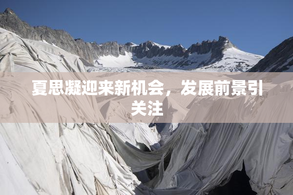 夏思凝迎来新机会，发展前景引关注
