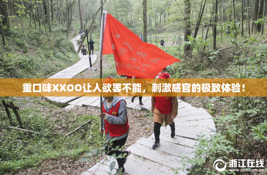 重口味XXOO让人欲罢不能，刺激感官的极致体验！