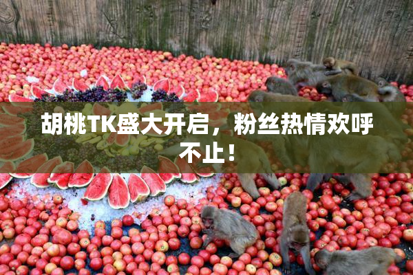 胡桃TK盛大开启，粉丝热情欢呼不止！