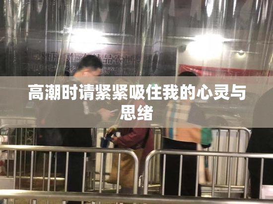 高潮时请紧紧吸住我的心灵与思绪