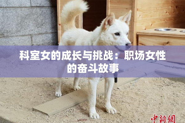 科室女的成长与挑战：职场女性的奋斗故事