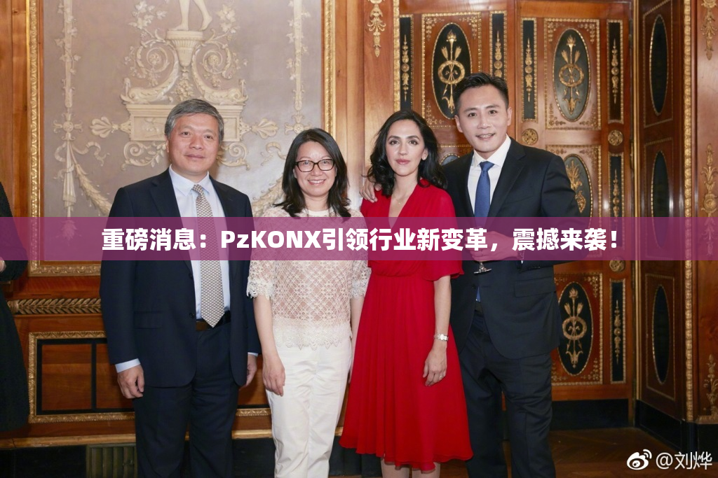 重磅消息：PzKONX引领行业新变革，震撼来袭！