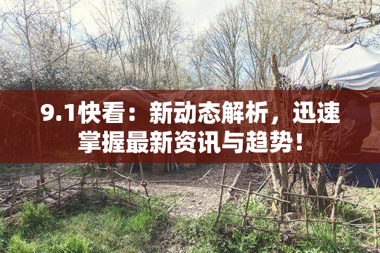 9.1快看：新动态解析，迅速掌握最新资讯与趋势！