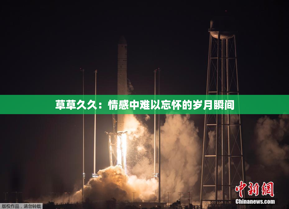 草草久久：情感中难以忘怀的岁月瞬间