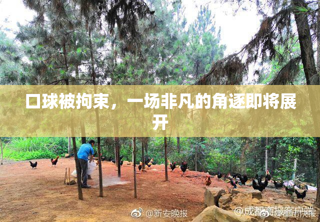 口球被拘束，一场非凡的角逐即将展开
