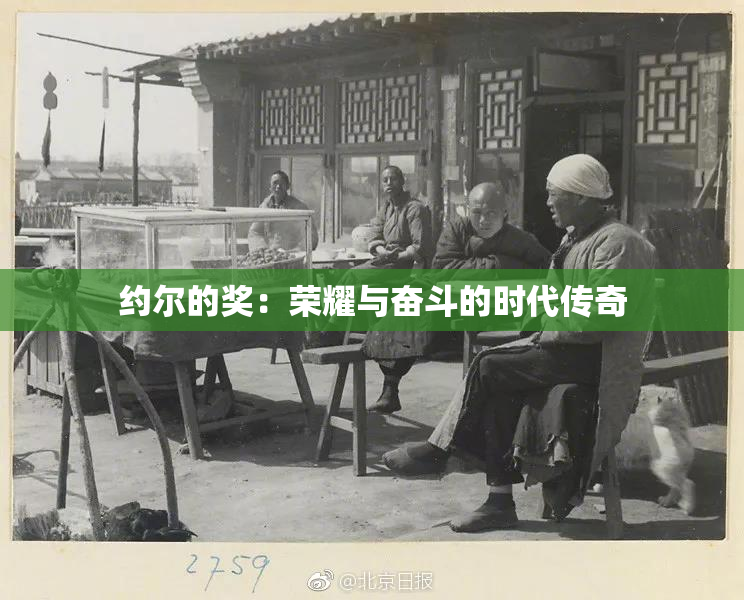 约尔的奖：荣耀与奋斗的时代传奇