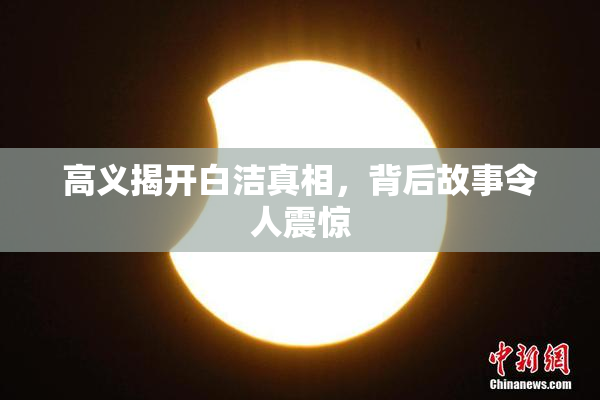 高义揭开白洁真相，背后故事令人震惊