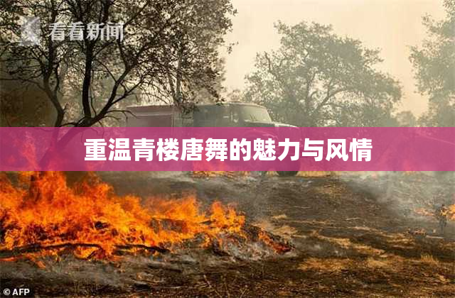 重温青楼唐舞的魅力与风情