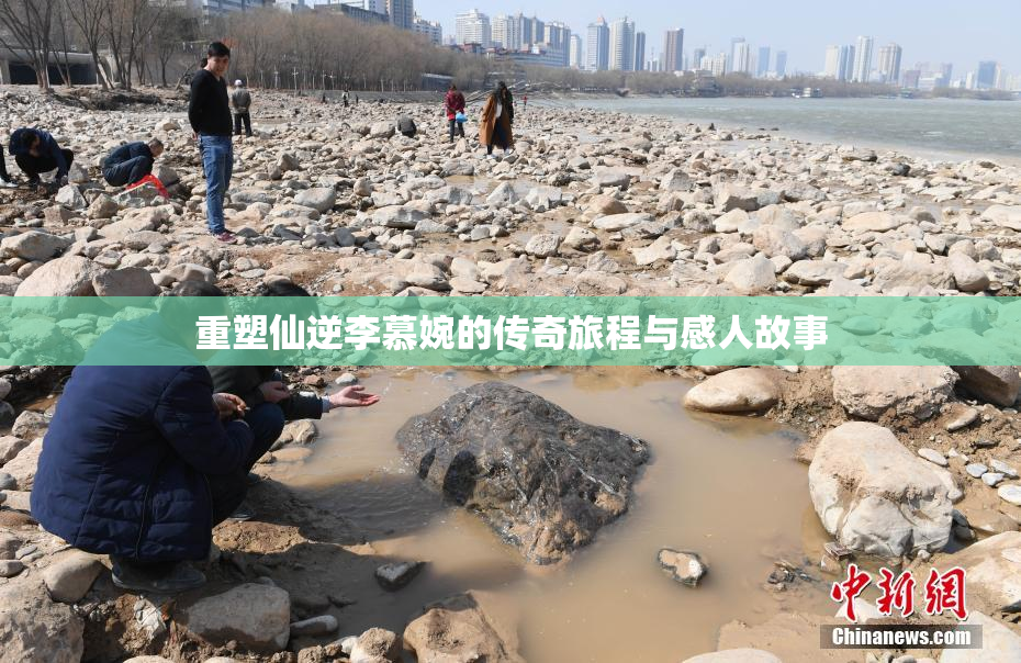 重塑仙逆李慕婉的传奇旅程与感人故事