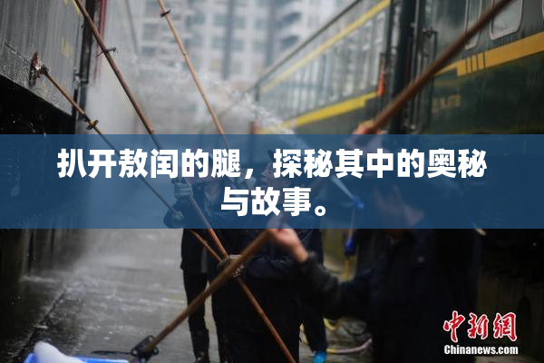 扒开敖闰的腿，探秘其中的奥秘与故事。