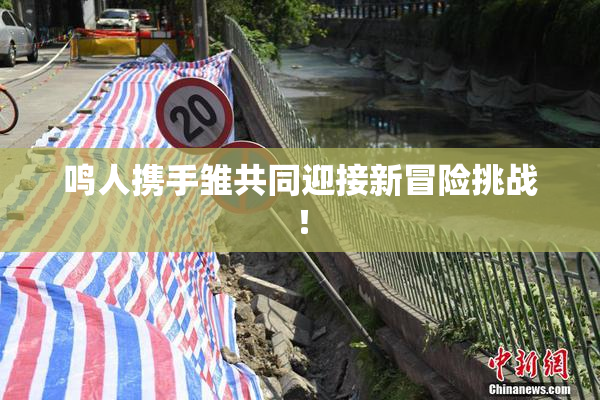 鸣人携手雏共同迎接新冒险挑战！
