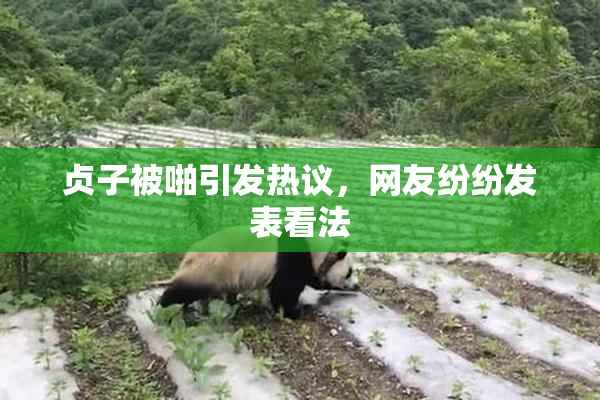 贞子被啪引发热议，网友纷纷发表看法