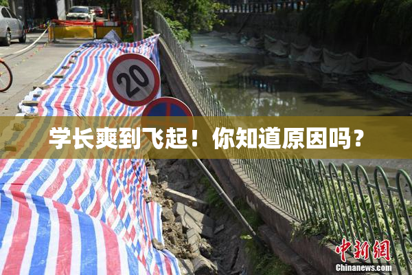 学长爽到飞起！你知道原因吗？