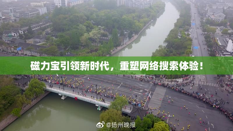 磁力宝引领新时代，重塑网络搜索体验！