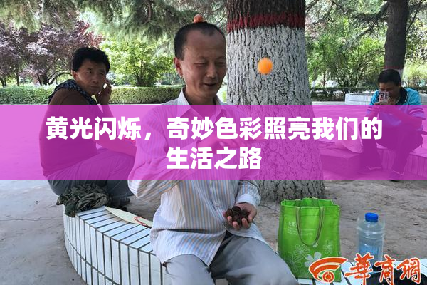 黄光闪烁，奇妙色彩照亮我们的生活之路