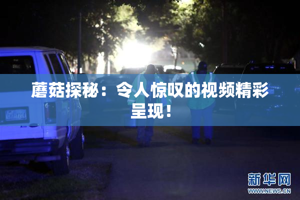 蘑菇探秘：令人惊叹的视频精彩呈现！