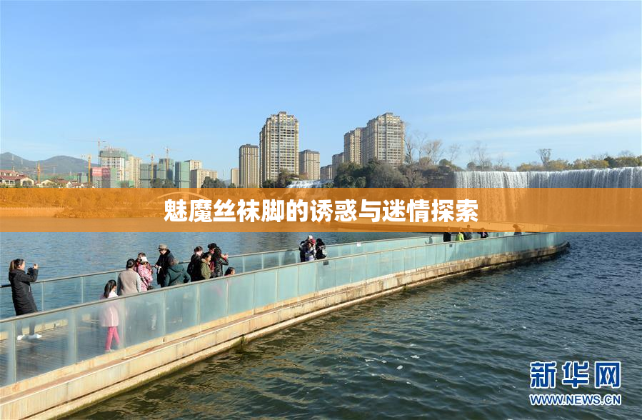 魅魔丝袜脚的诱惑与迷情探索