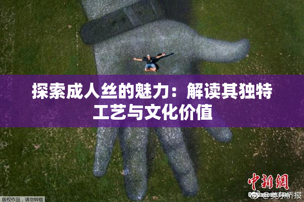 探索成人丝的魅力：解读其独特工艺与文化价值