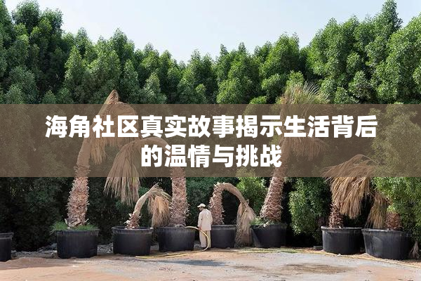 海角社区真实故事揭示生活背后的温情与挑战