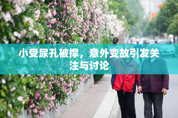 小受尿孔被撑，意外变故引发关注与讨论