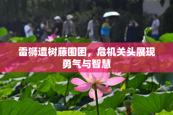 雷狮遭树藤围困，危机关头展现勇气与智慧