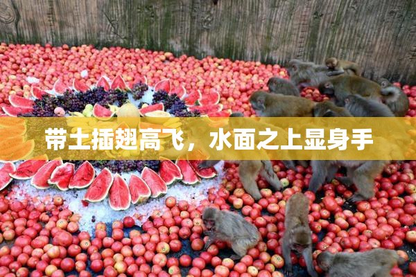 带土插翅高飞，水面之上显身手