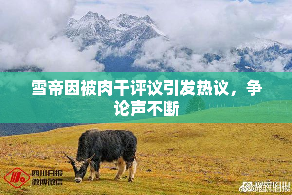 雪帝因被肉干评议引发热议，争论声不断