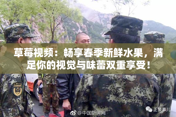 草莓视频：畅享春季新鲜水果，满足你的视觉与味蕾双重享受！