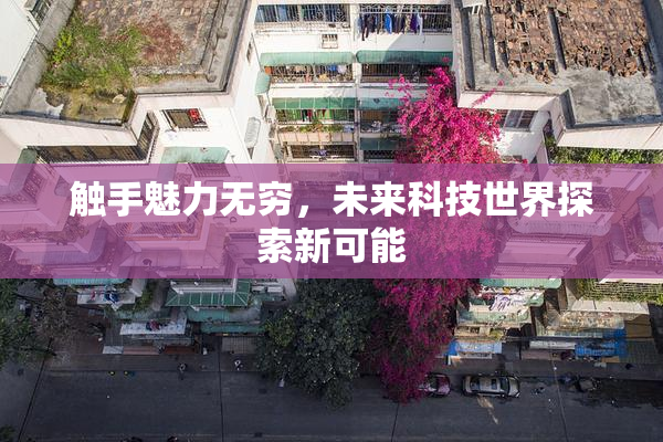 触手魅力无穷，未来科技世界探索新可能