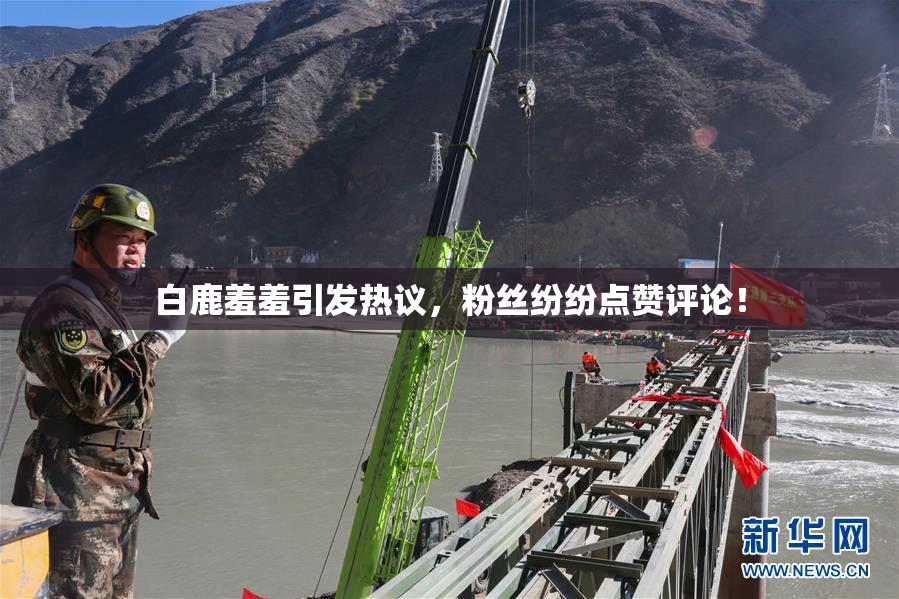 白鹿羞羞引发热议，粉丝纷纷点赞评论！
