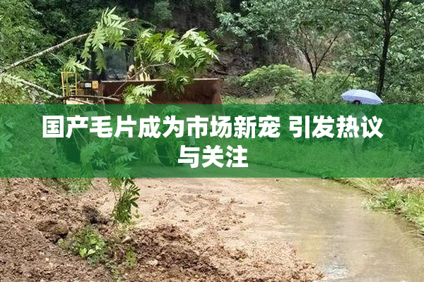 国产毛片成为市场新宠 引发热议与关注