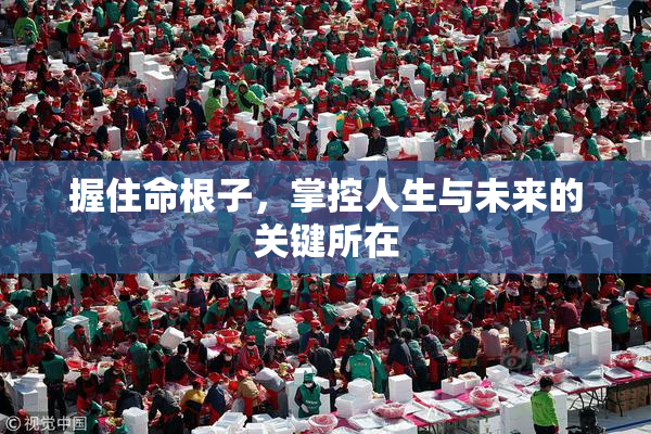 握住命根子，掌控人生与未来的关键所在