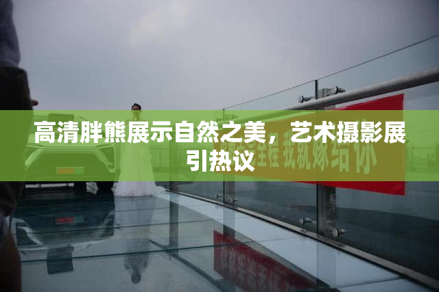 高清胖熊展示自然之美，艺术摄影展引热议