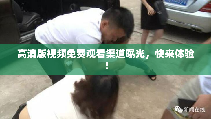 高清版视频免费观看渠道曝光，快来体验！