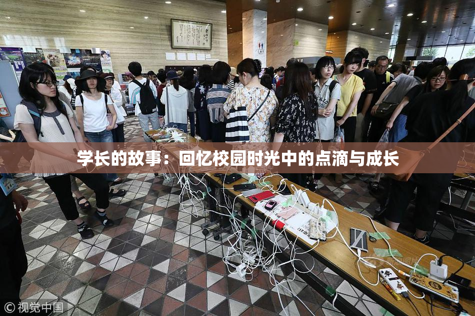 学长的故事：回忆校园时光中的点滴与成长
