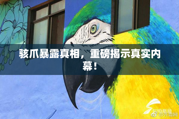 骇爪暴露真相，重磅揭示真实内幕！