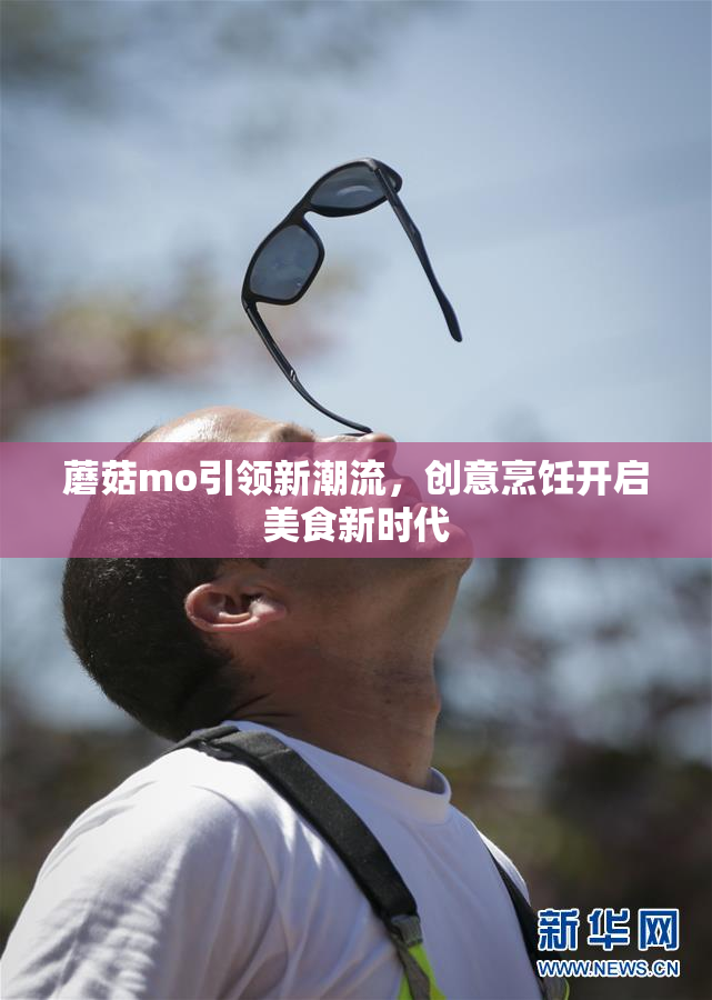 蘑菇mo引领新潮流，创意烹饪开启美食新时代