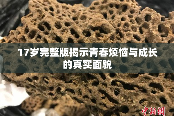 17岁完整版揭示青春烦恼与成长的真实面貌