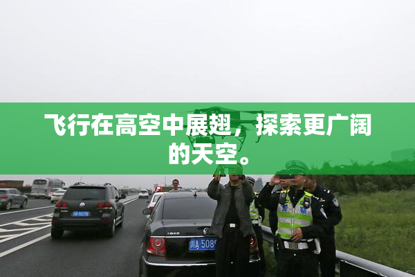 飞行在高空中展翅，探索更广阔的天空。