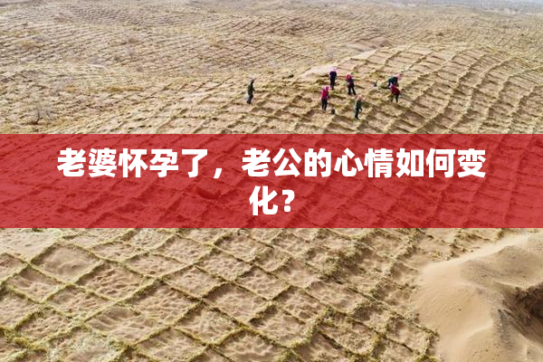 老婆怀孕了，老公的心情如何变化？