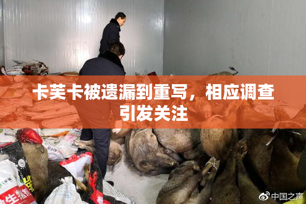 卡芙卡被遗漏到重写，相应调查引发关注