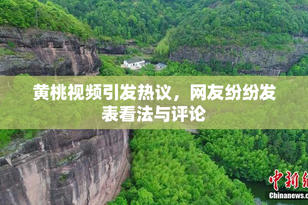 黄桃视频引发热议，网友纷纷发表看法与评论