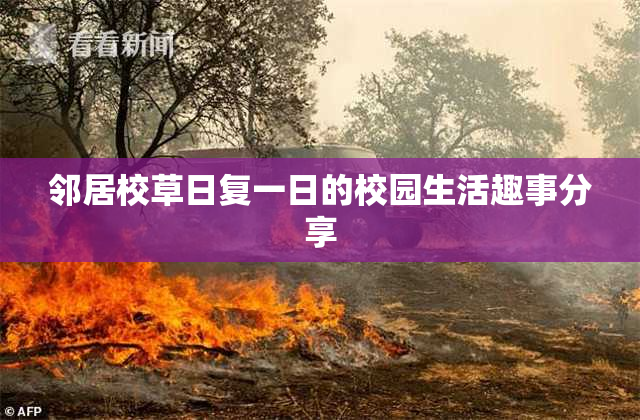 邻居校草日复一日的校园生活趣事分享